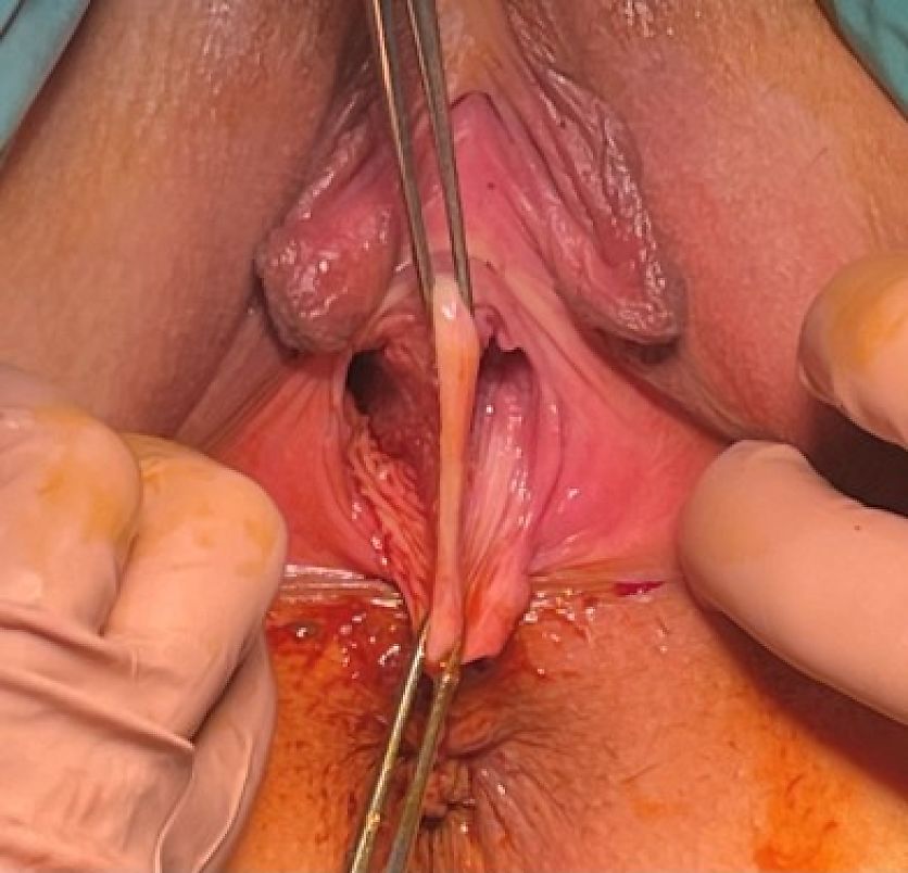 Buvim bilan guruh jinsiy aloqa Eng romantik jinsiy aloqani onlayn tomosha qiling